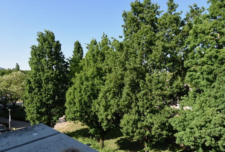 Foto 22 van Dillegaard 186