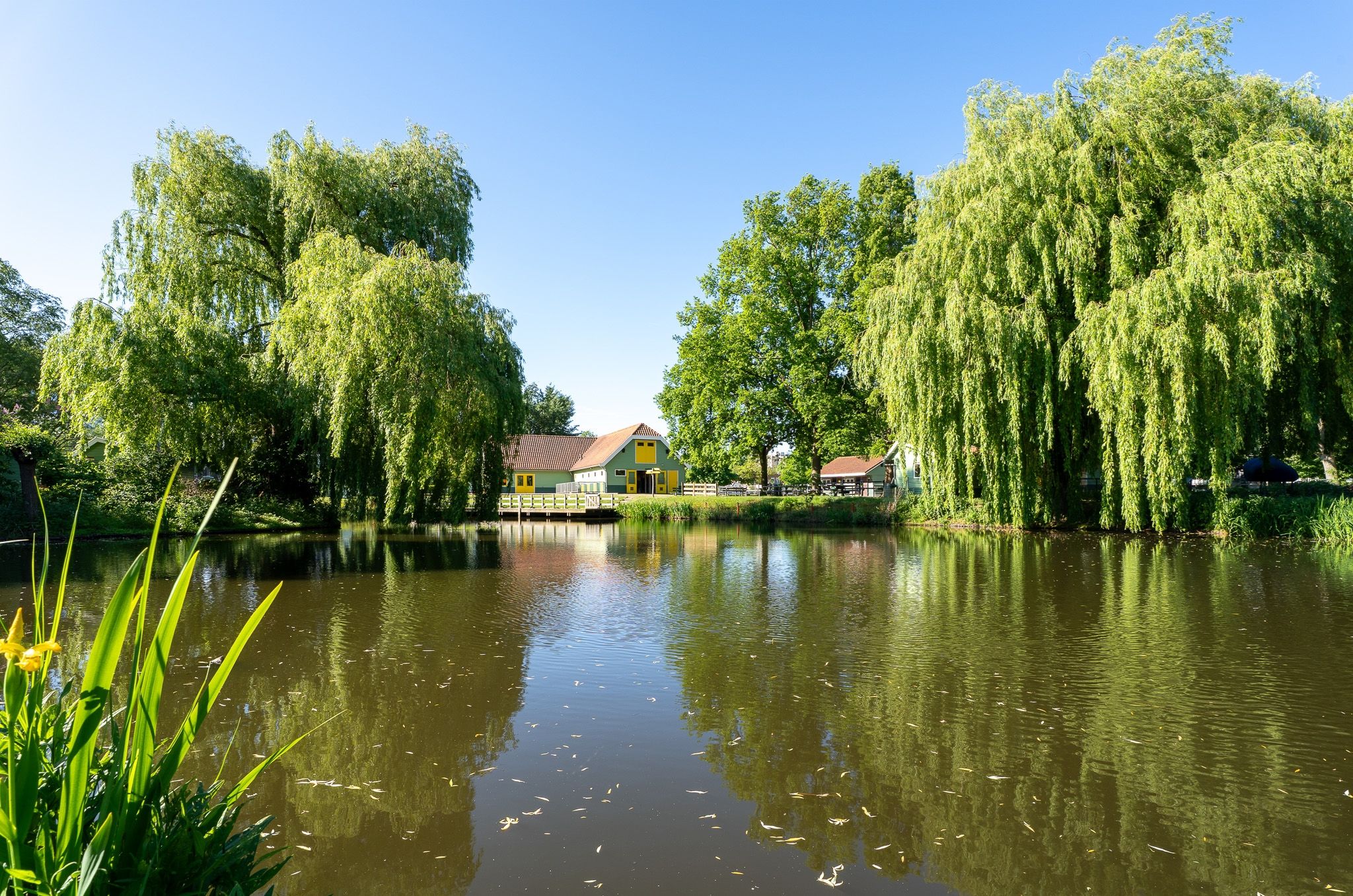 Foto 6 van Reigerplein 8