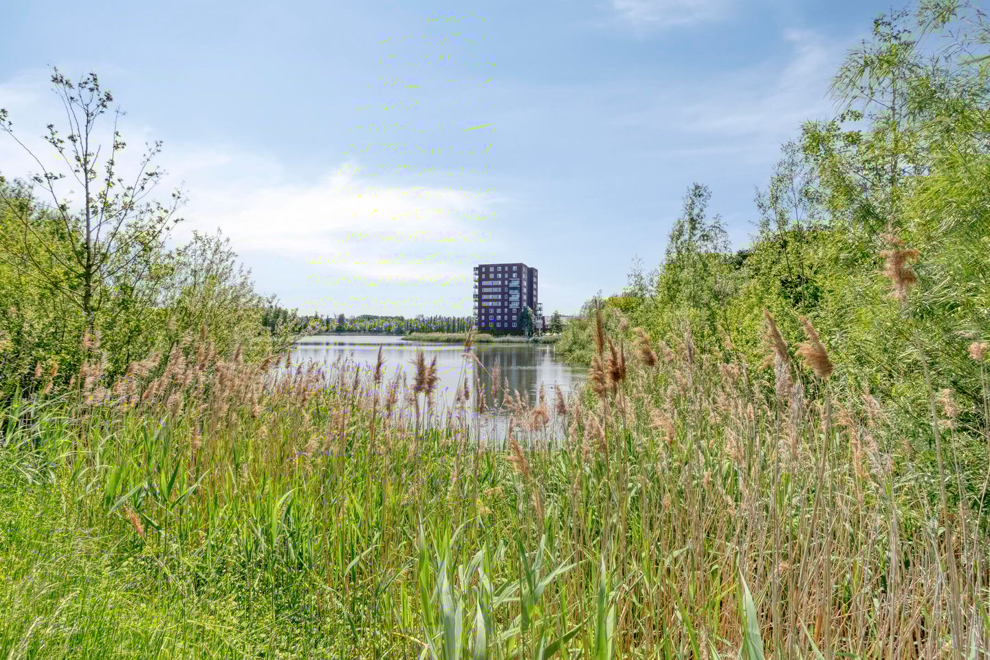 Foto 35 van Ratelaarstraat 21