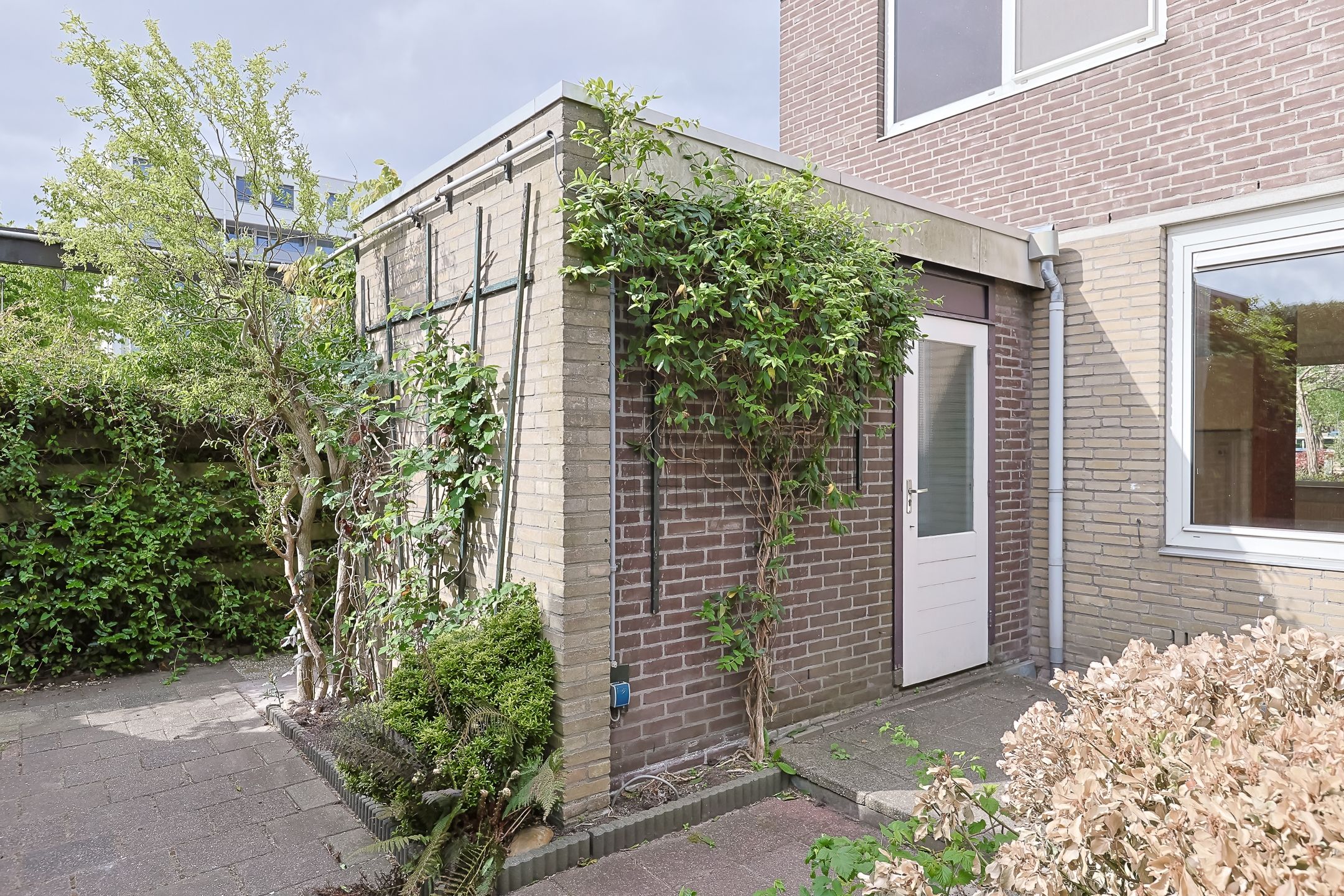 Foto 42 van Wikkestraat 111