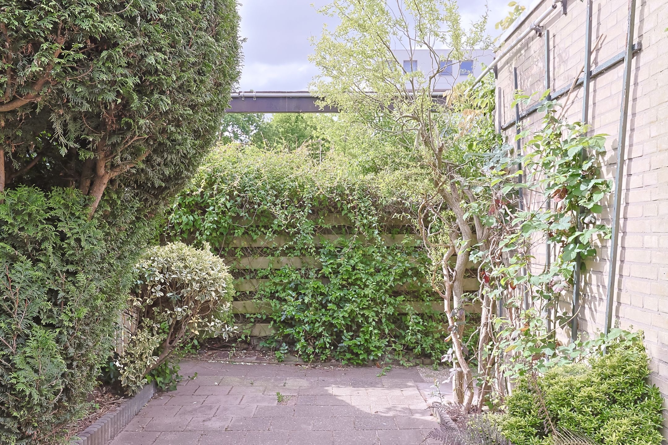 Foto 45 van Wikkestraat 111