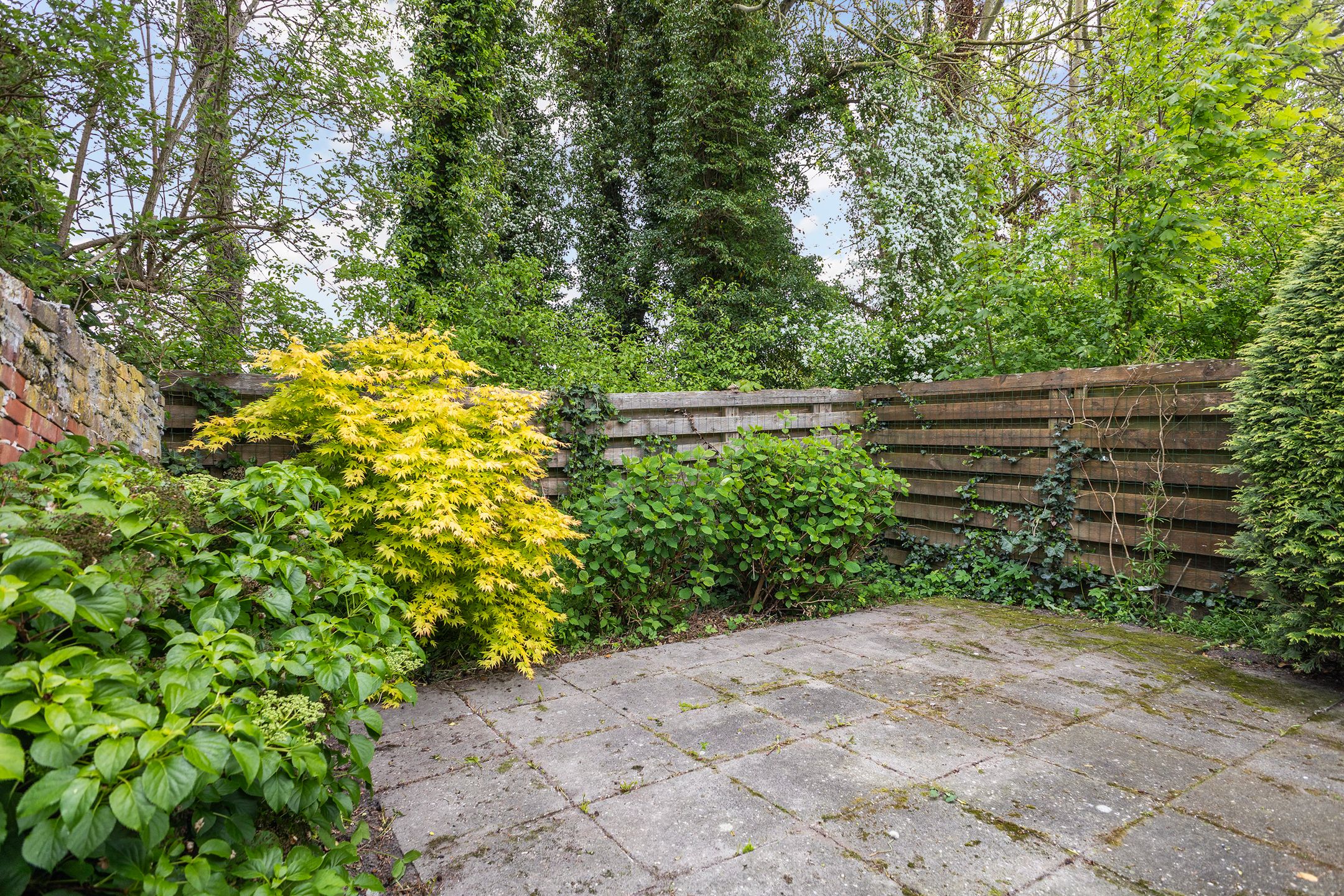 Photo 3 of Brédyk 61