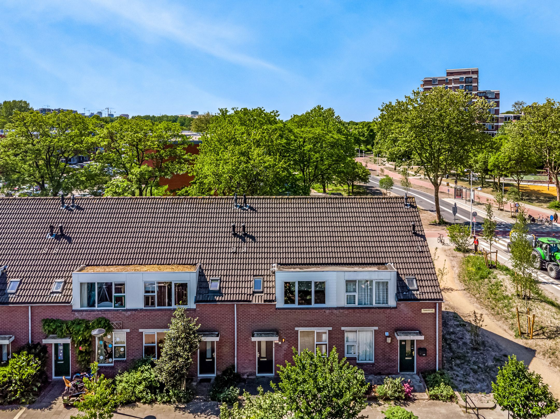 Photo 3 of Speenkruid 4