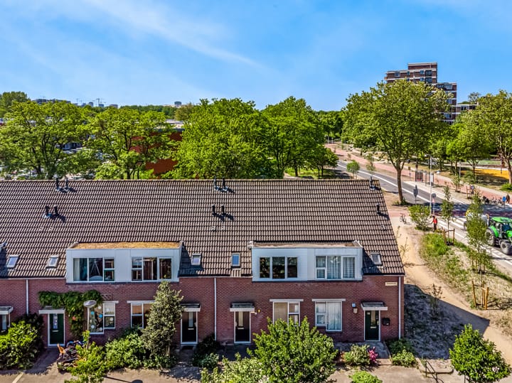 Foto 3 van Speenkruid 4