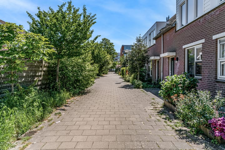 Foto 5 van Speenkruid 4