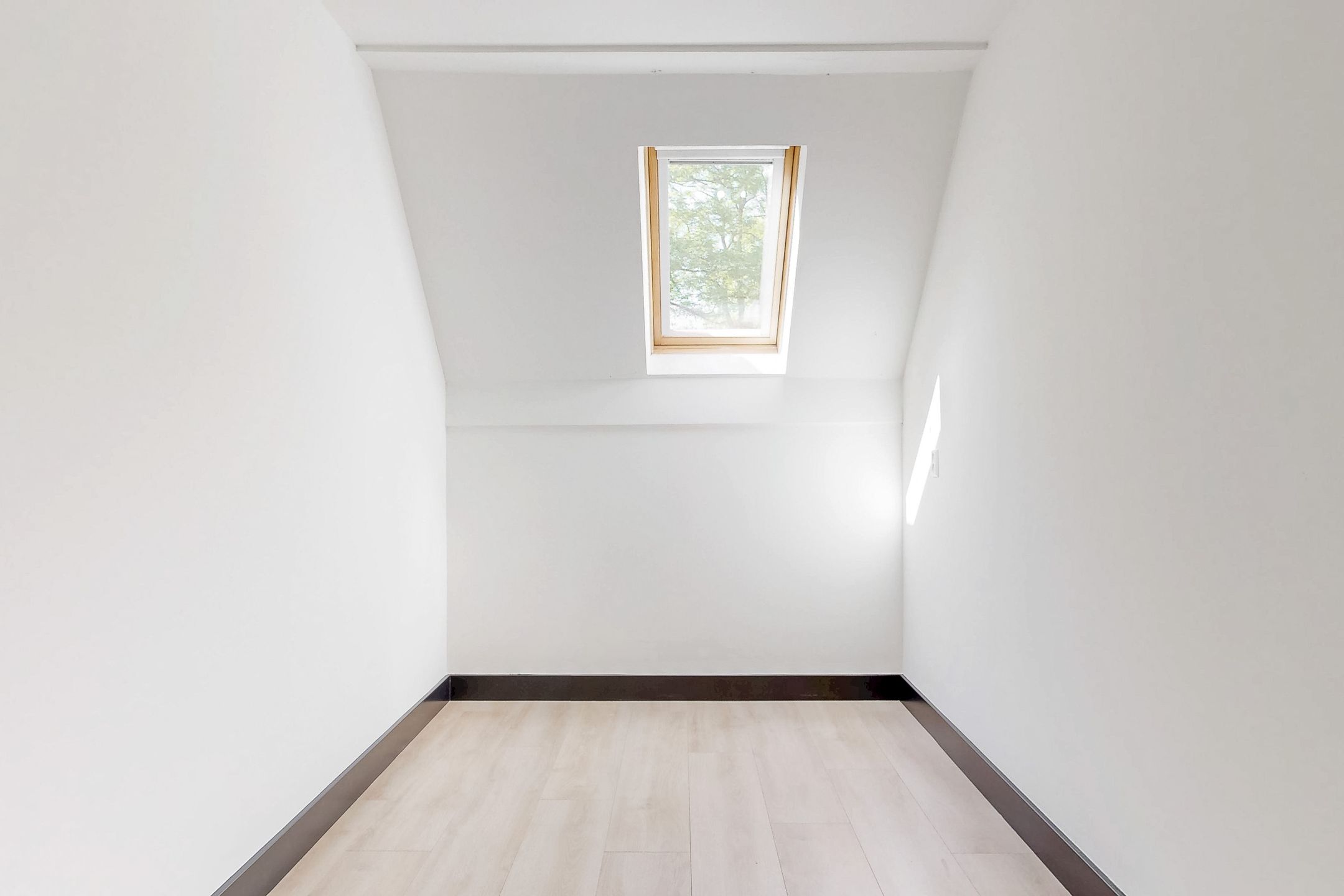 Photo 18 of Speenkruid 4