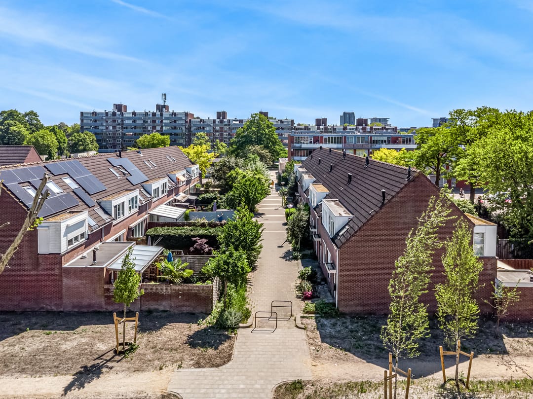 Photo 2 of Speenkruid 4