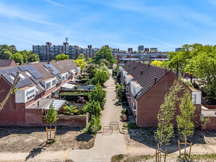 Foto 2 van Speenkruid 4