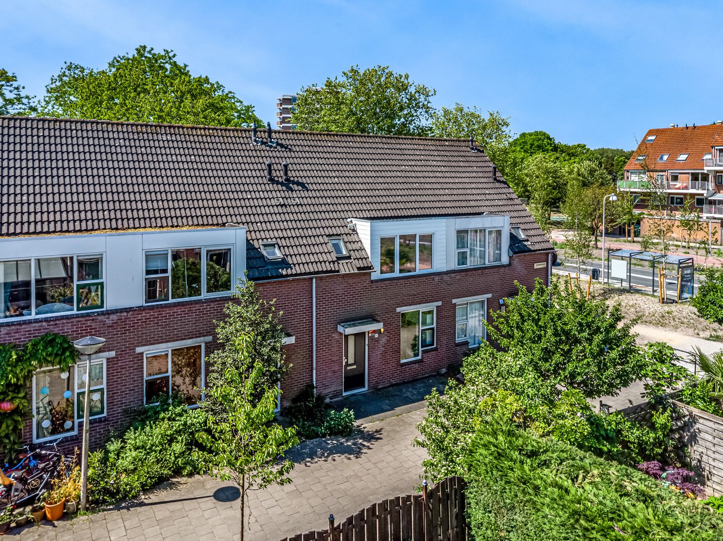 Photo 4 of Speenkruid 4