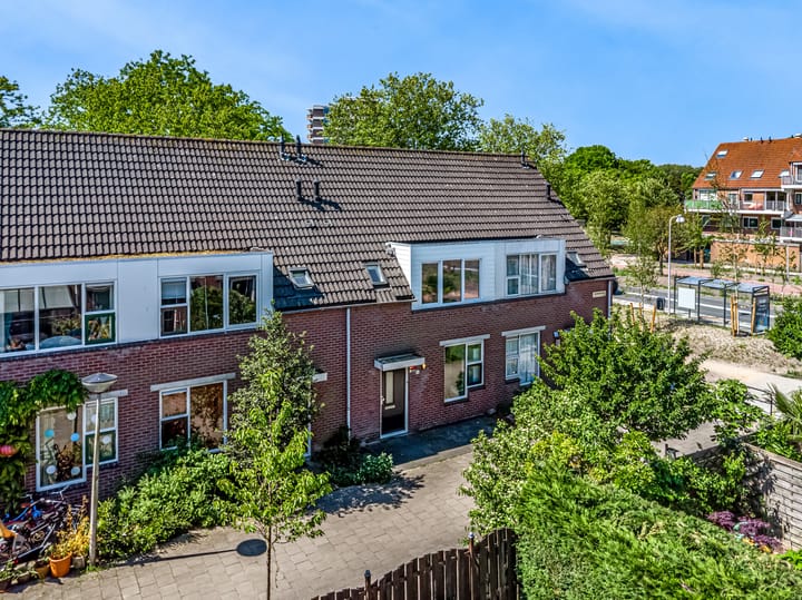 Foto 4 van Speenkruid 4