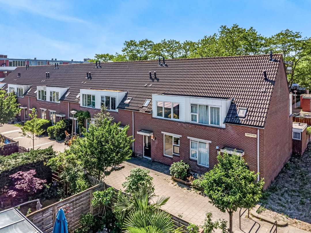 Photo 1 of Speenkruid 4