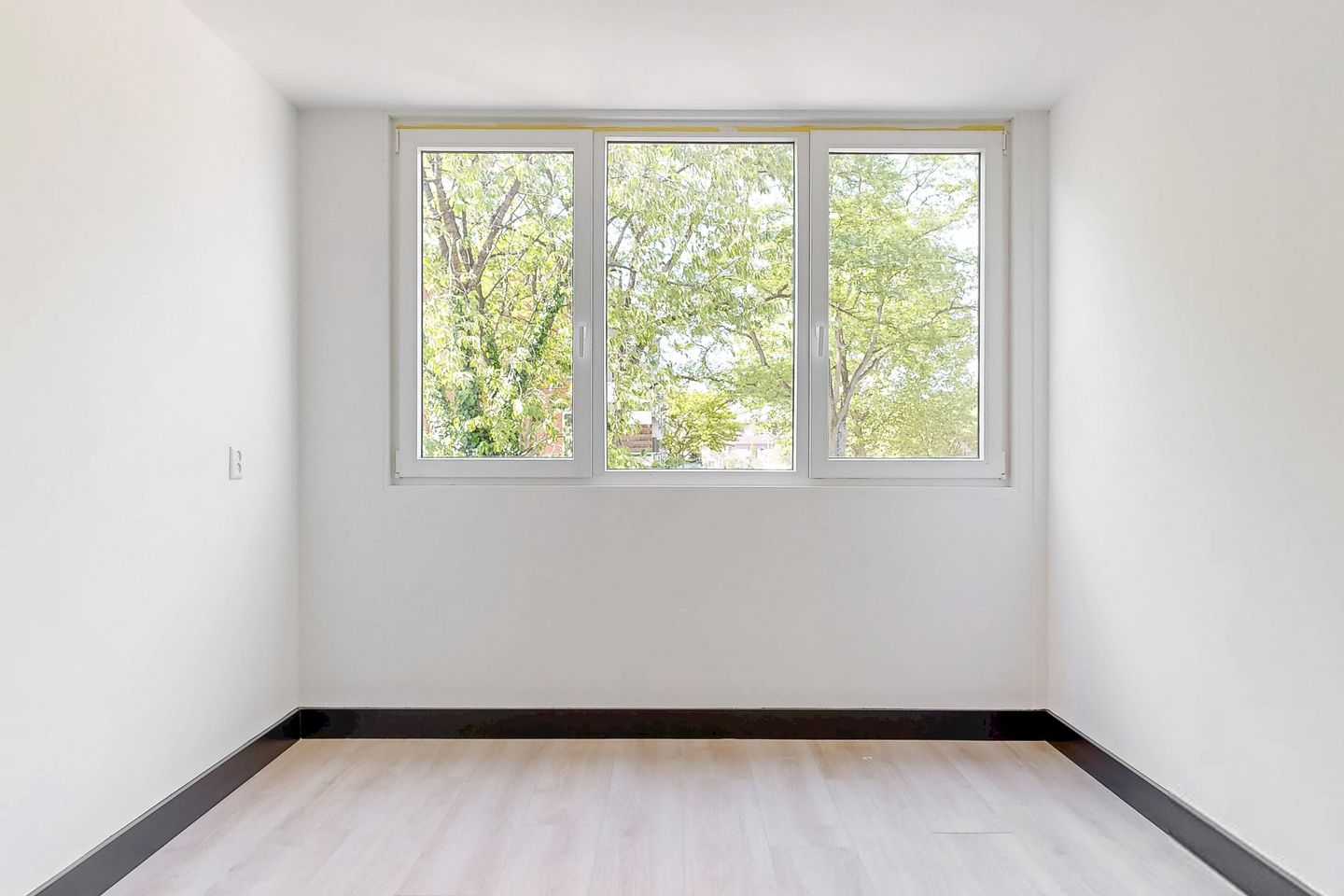 Photo 20 of Speenkruid 4