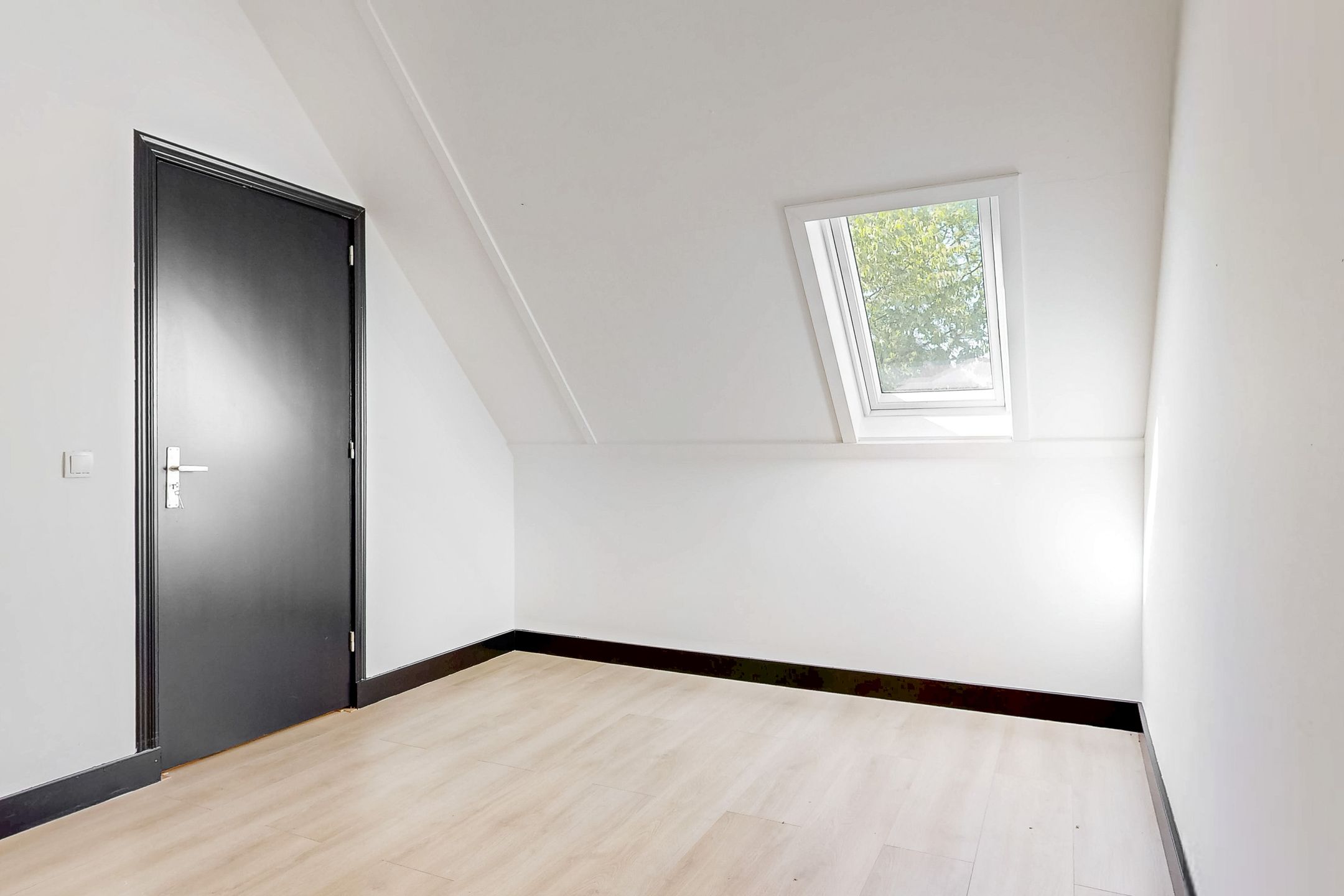 Photo 27 of Speenkruid 4