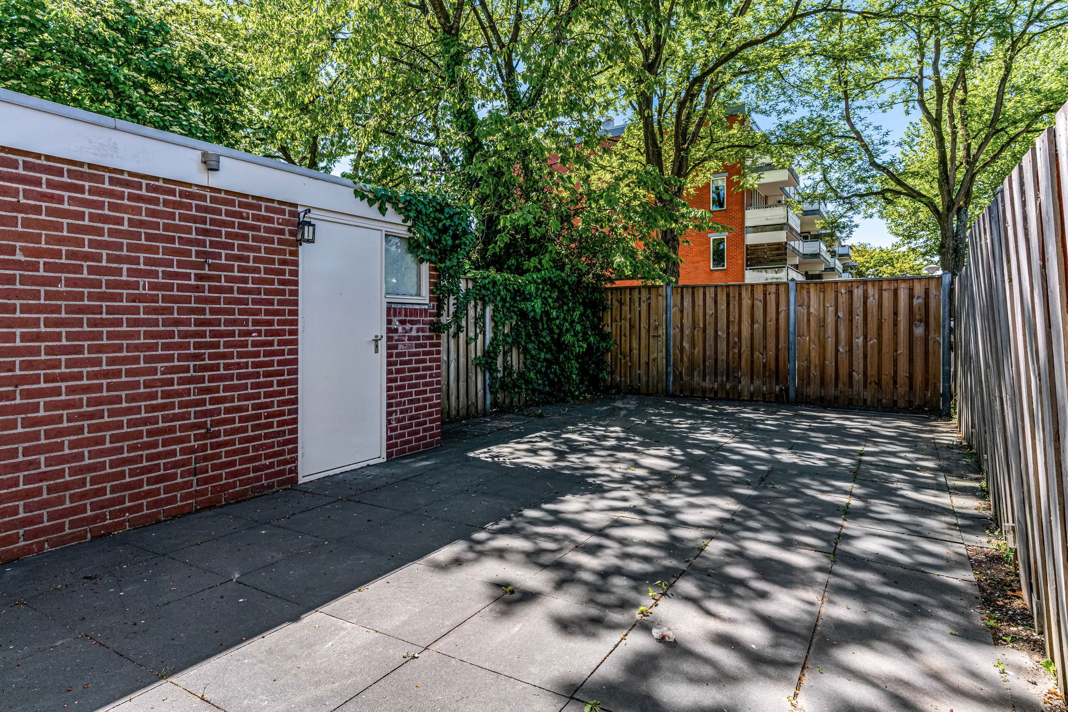 Photo 30 of Speenkruid 4