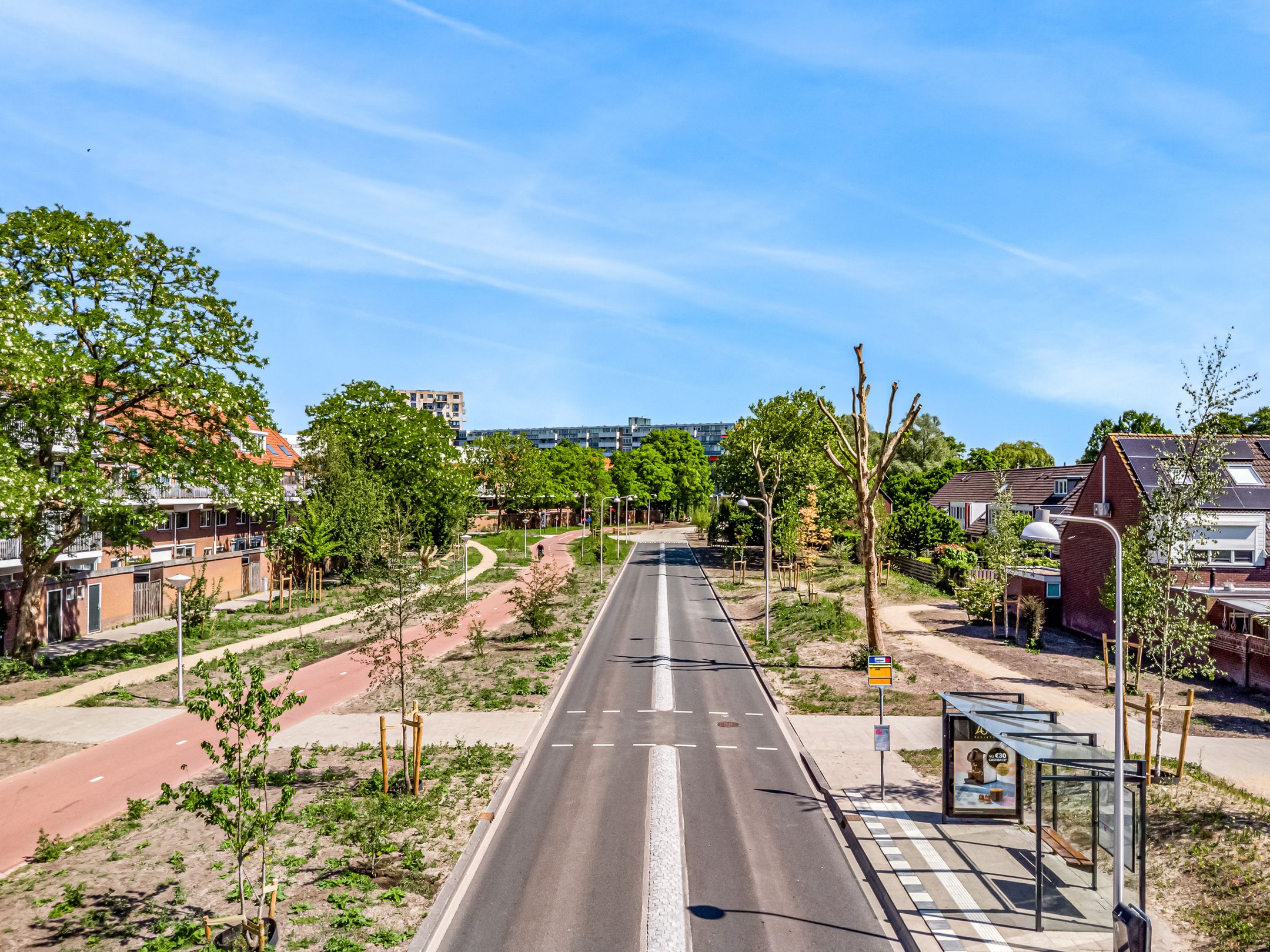 Photo 33 of Speenkruid 4