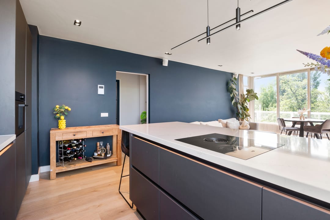 Foto 7 van Parnassiaveld 56