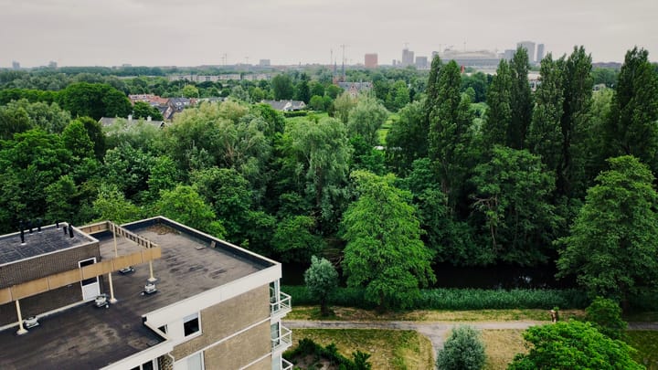 Foto 27 van Parnassiaveld 56