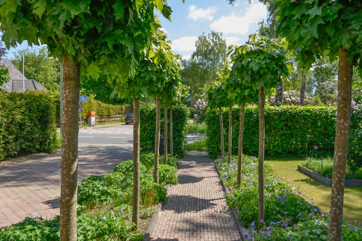 Foto 4 van Tolakkerweg 112