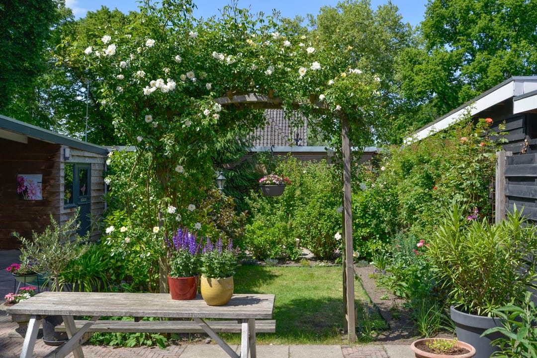 Foto 26 van Tolakkerweg 112