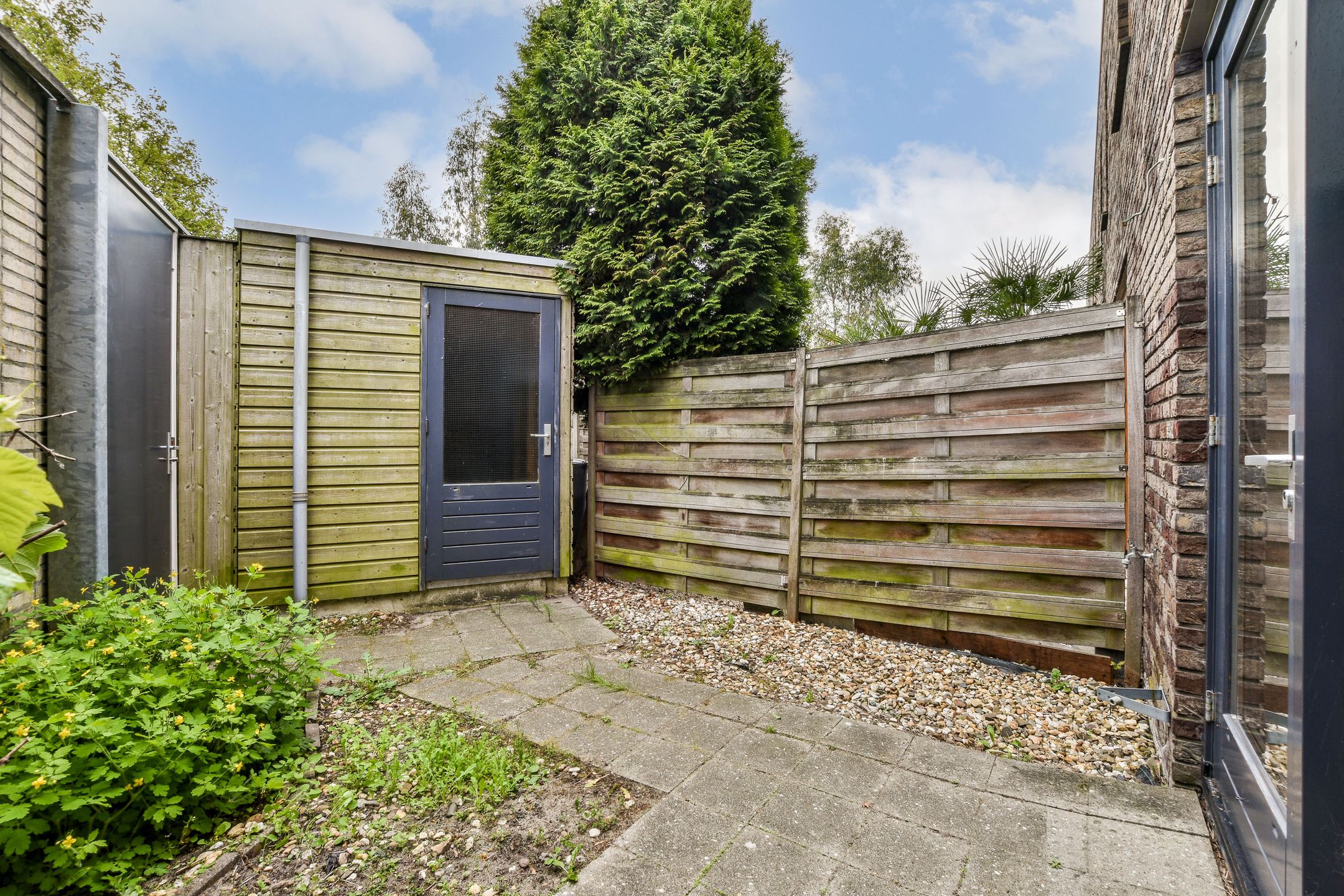 Photo 3 of Kerstomaatplantsoen 17