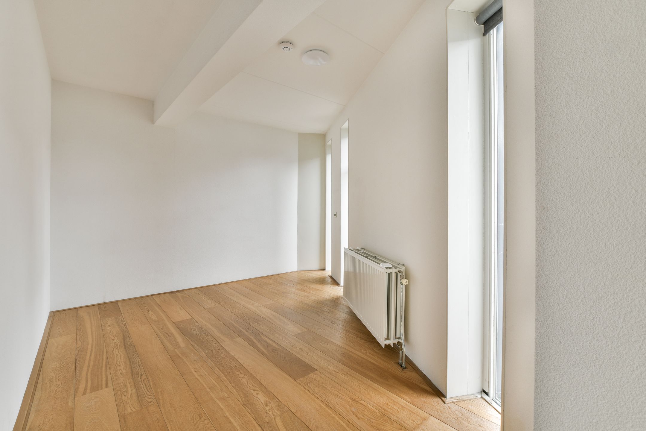 Photo 6 of Kerstomaatplantsoen 17