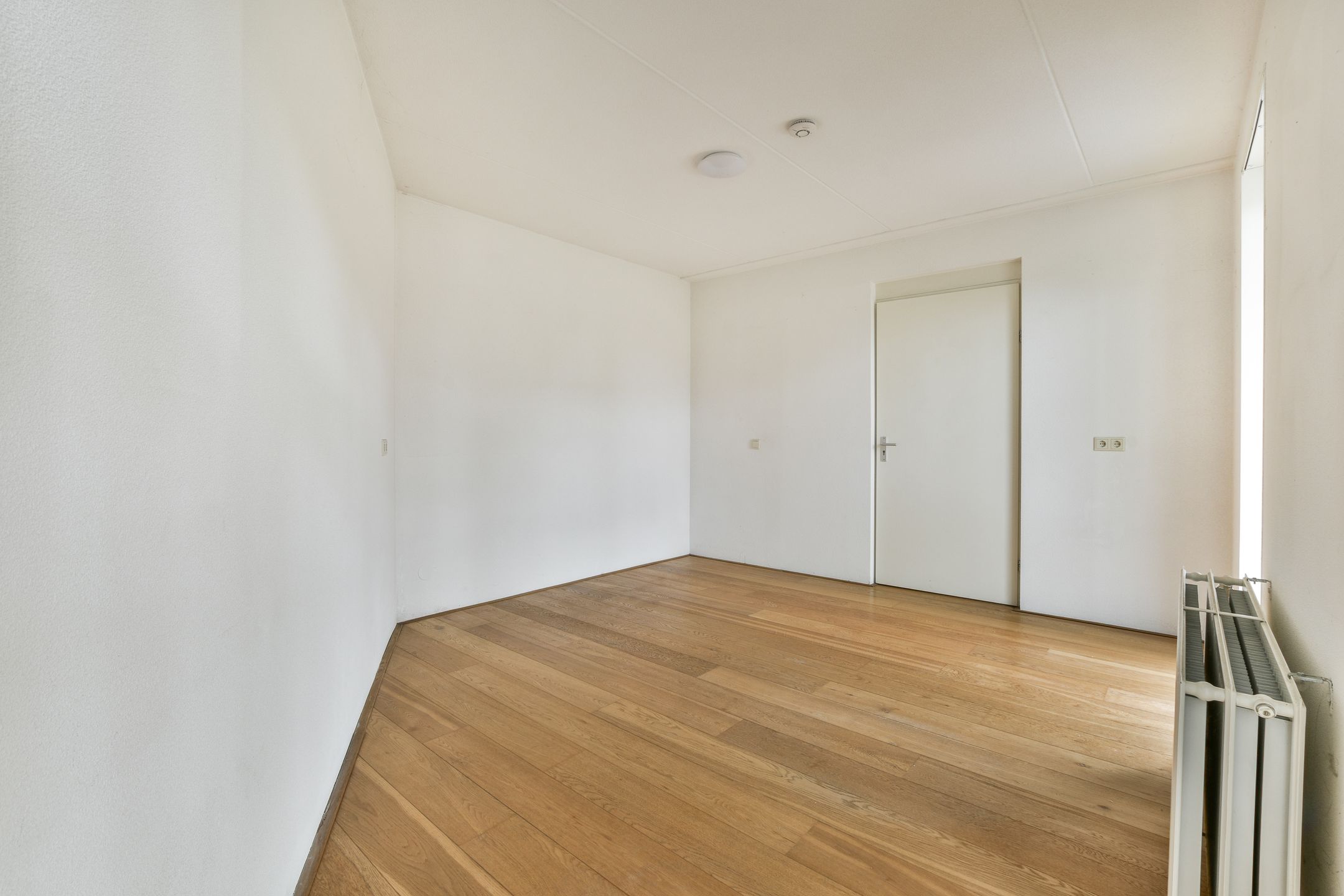 Photo 12 of Kerstomaatplantsoen 17