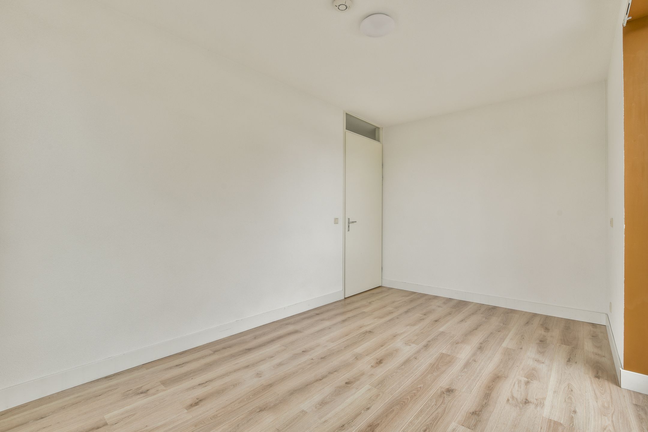 Photo 18 of Kerstomaatplantsoen 17