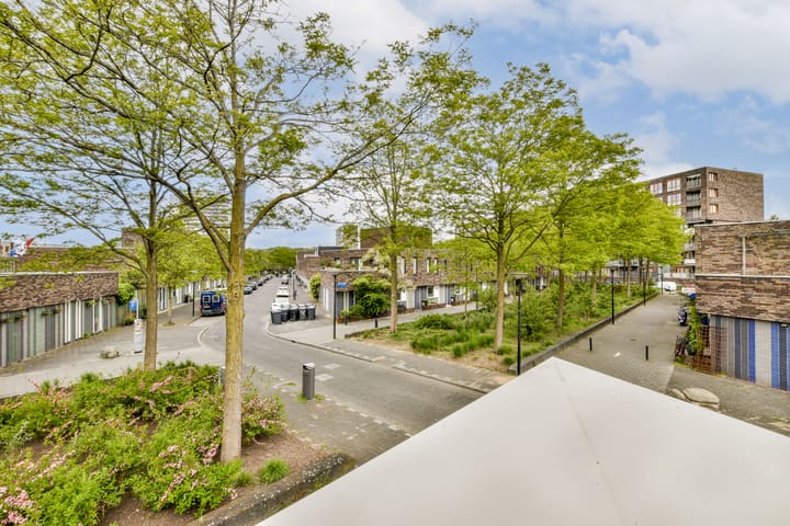 Foto 26 van Kerstomaatplantsoen 17