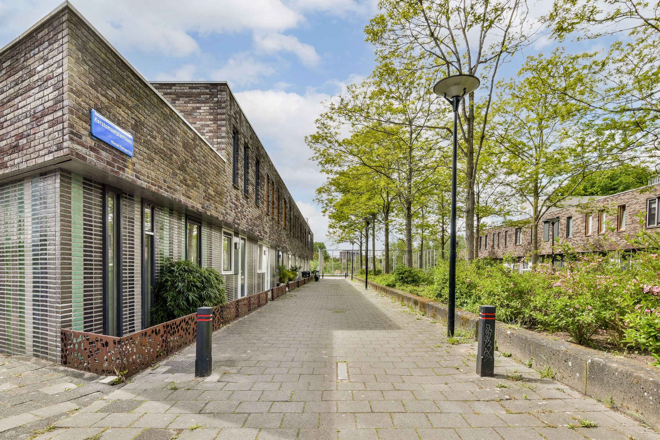 Photo 30 of Kerstomaatplantsoen 17