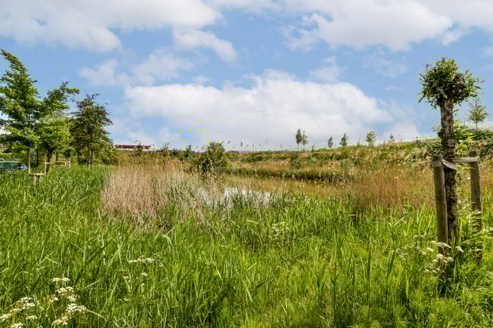 Foto 31 van Kerstomaatplantsoen 17