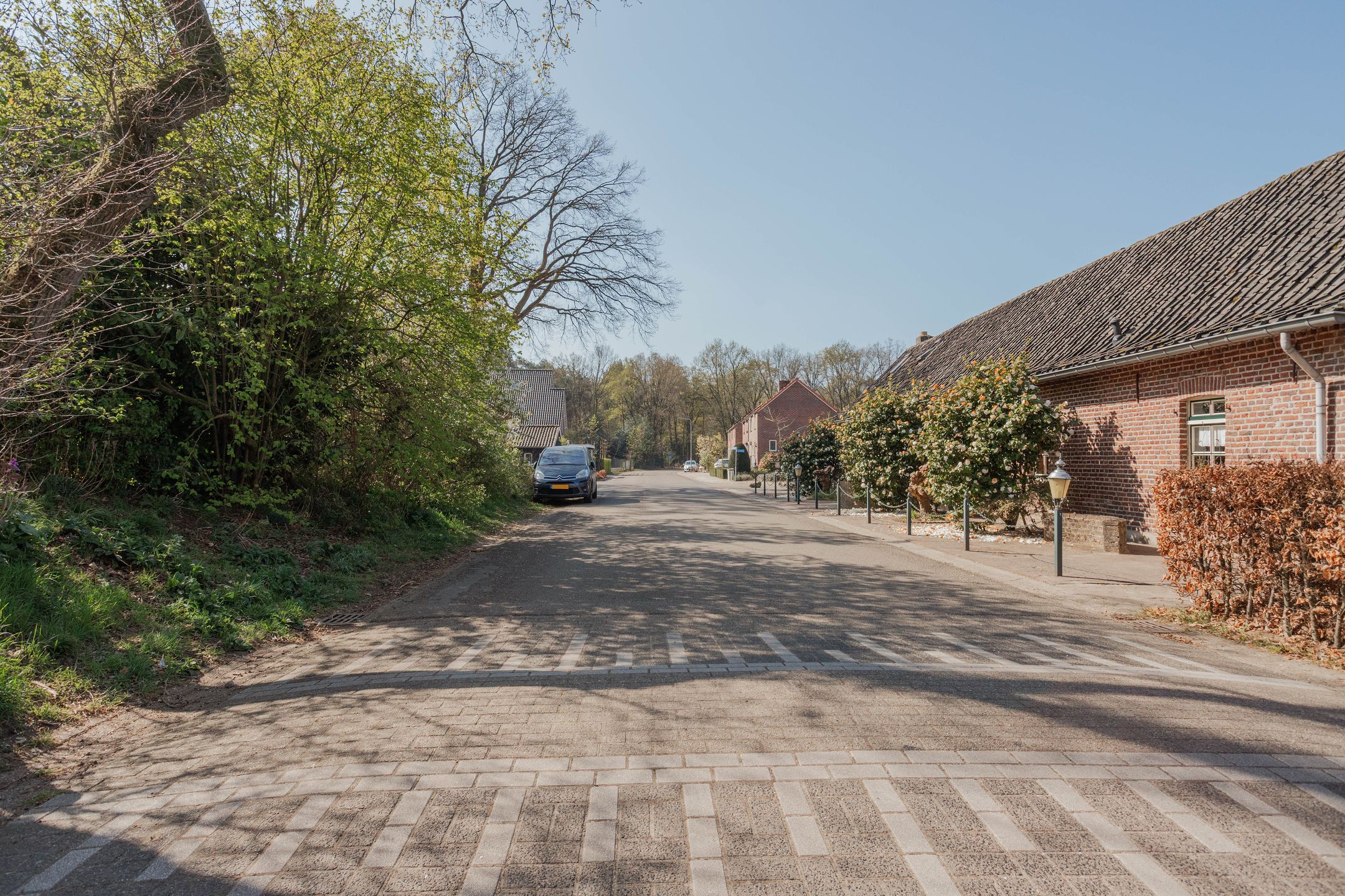 Photo 63 of Bosweg 8