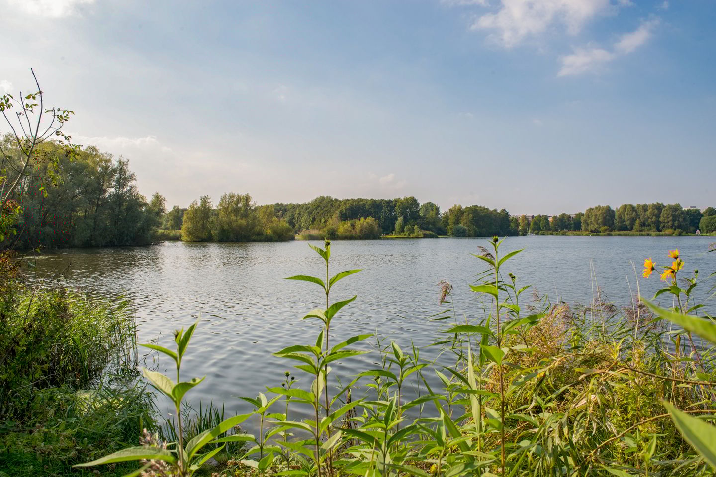 Foto 25 van Leksmondhof 270