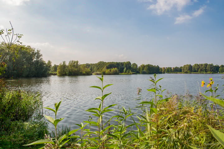 Foto 25 van Leksmondhof 270