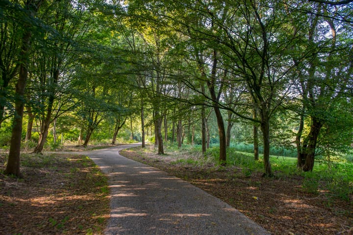 Foto 26 van Leksmondhof 270