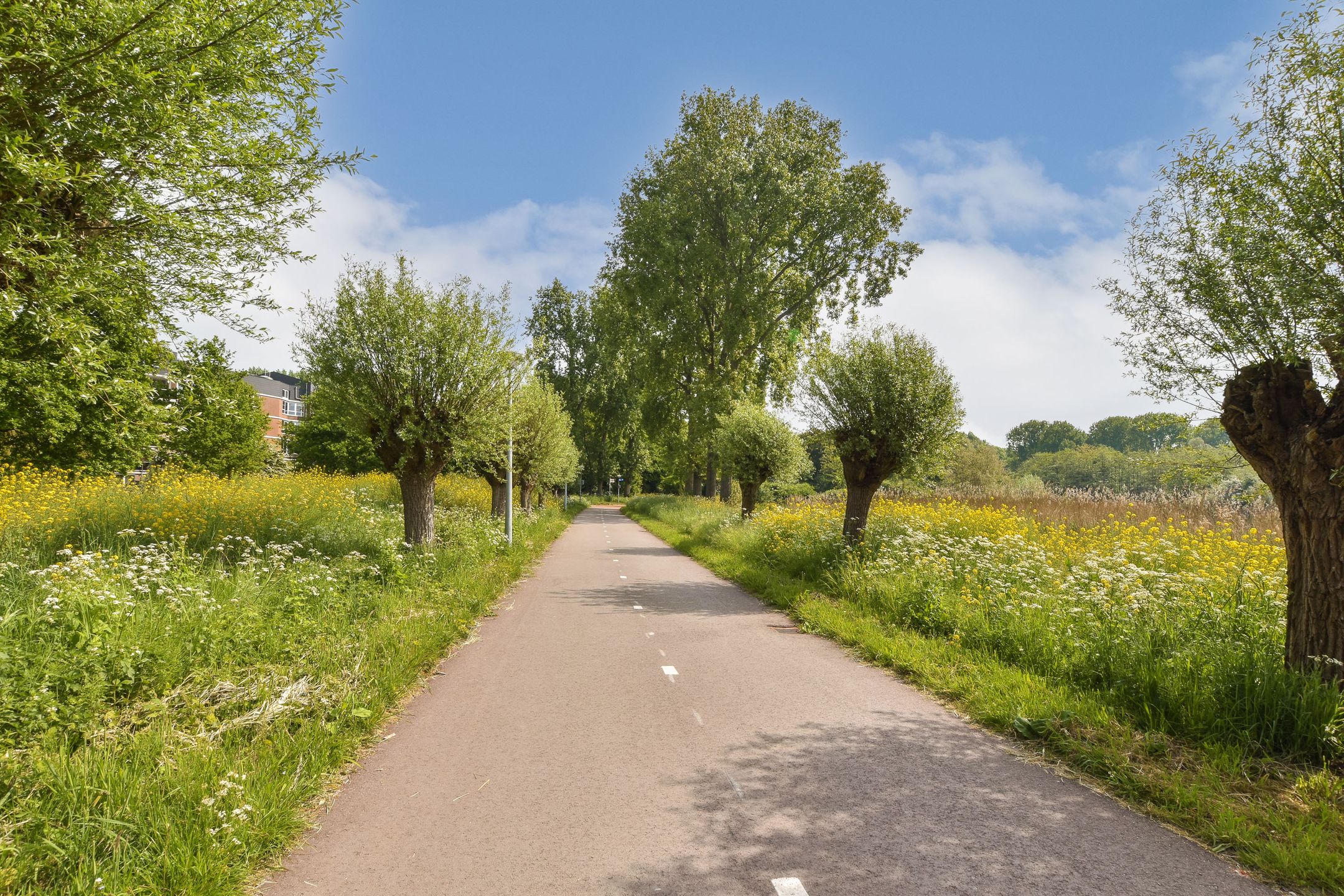 Foto 27 van Leksmondhof 270