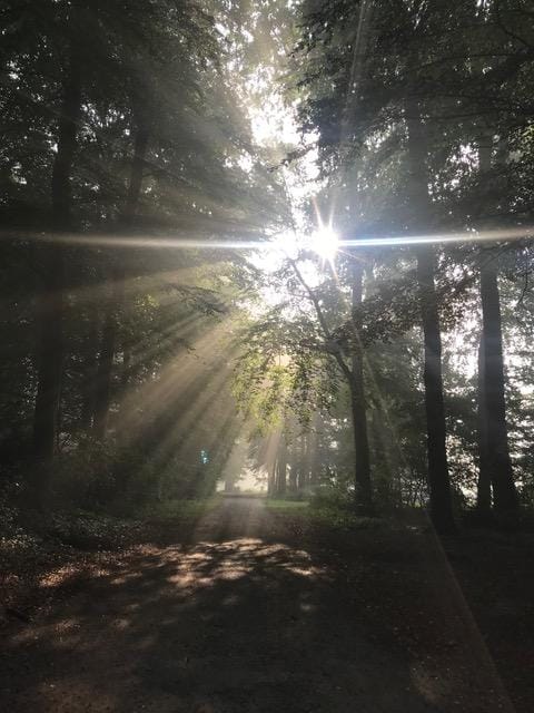 Foto 46 van Wilbrennincklaan 5