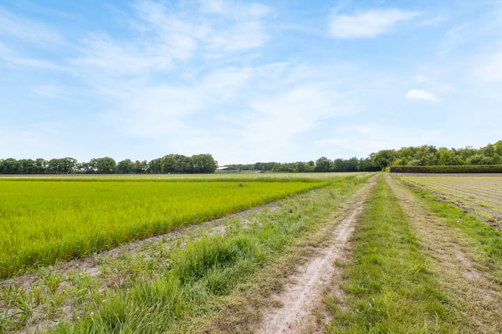 Foto 58 van Heeske 3-A