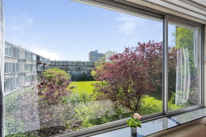 Foto 4 van Meander 895