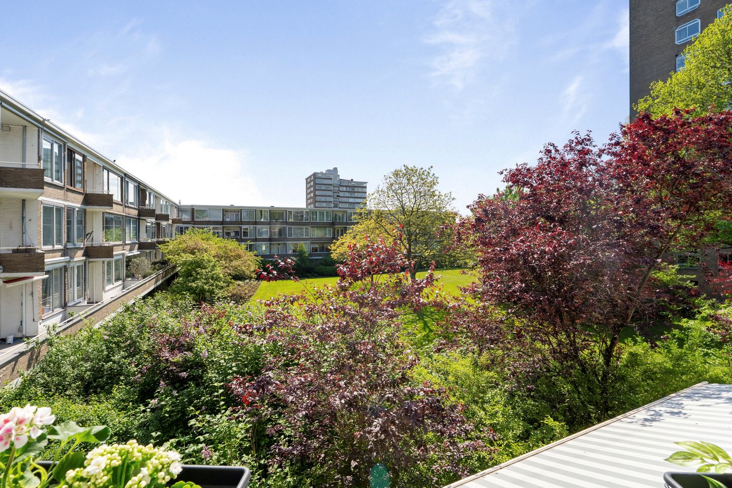 Foto 19 van Meander 895