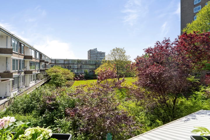 Foto 19 van Meander 895