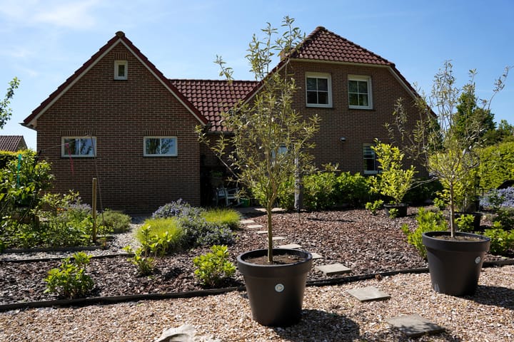 Foto 2 van Boogschutter 12