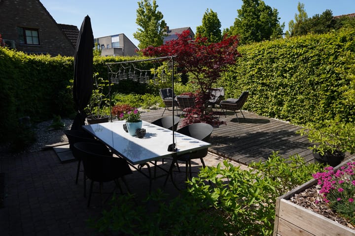 Foto 35 van Boogschutter 12