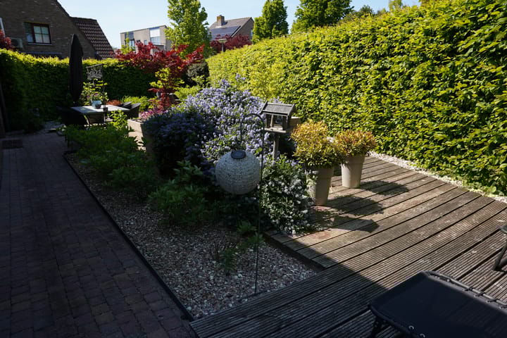 Foto 36 van Boogschutter 12