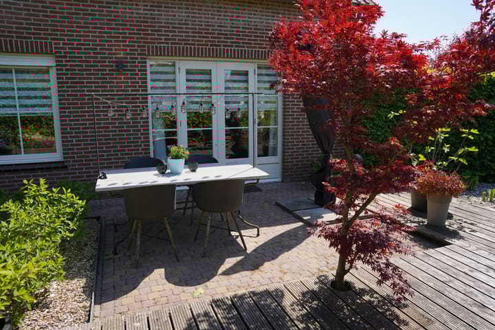 Foto 37 van Boogschutter 12