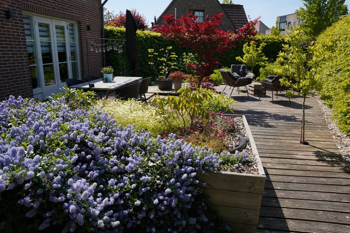 Foto 40 van Boogschutter 12