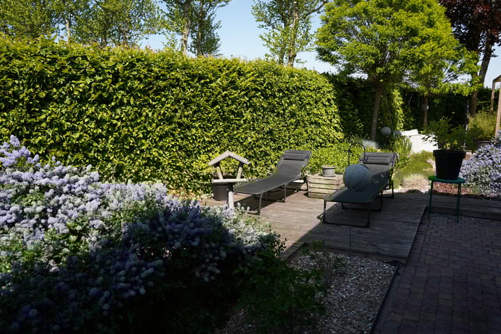 Foto 41 van Boogschutter 12