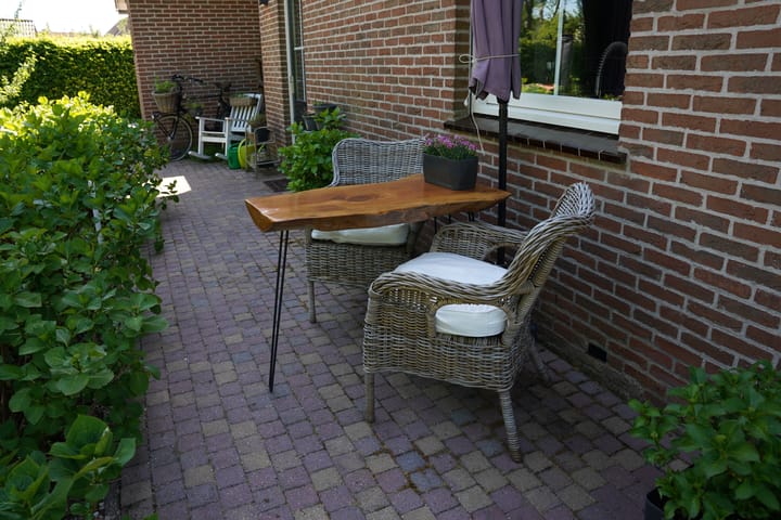 Foto 43 van Boogschutter 12