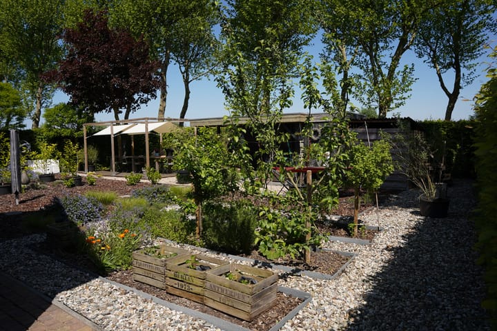 Foto 45 van Boogschutter 12