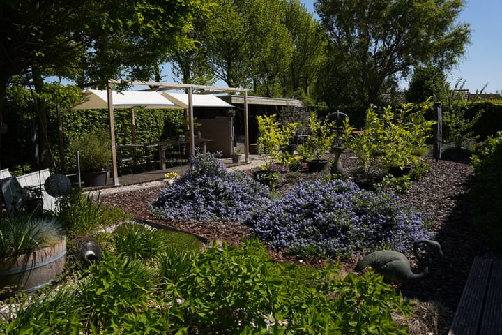 Foto 46 van Boogschutter 12