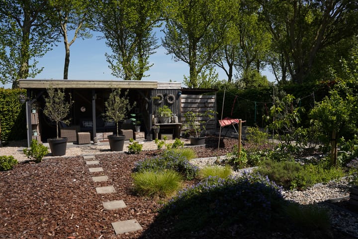 Foto 48 van Boogschutter 12